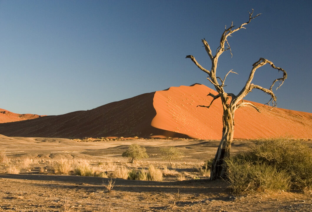 Namib Wüste - gigantische Dünenkämme und ein tintenblauer Sternenhimmel
