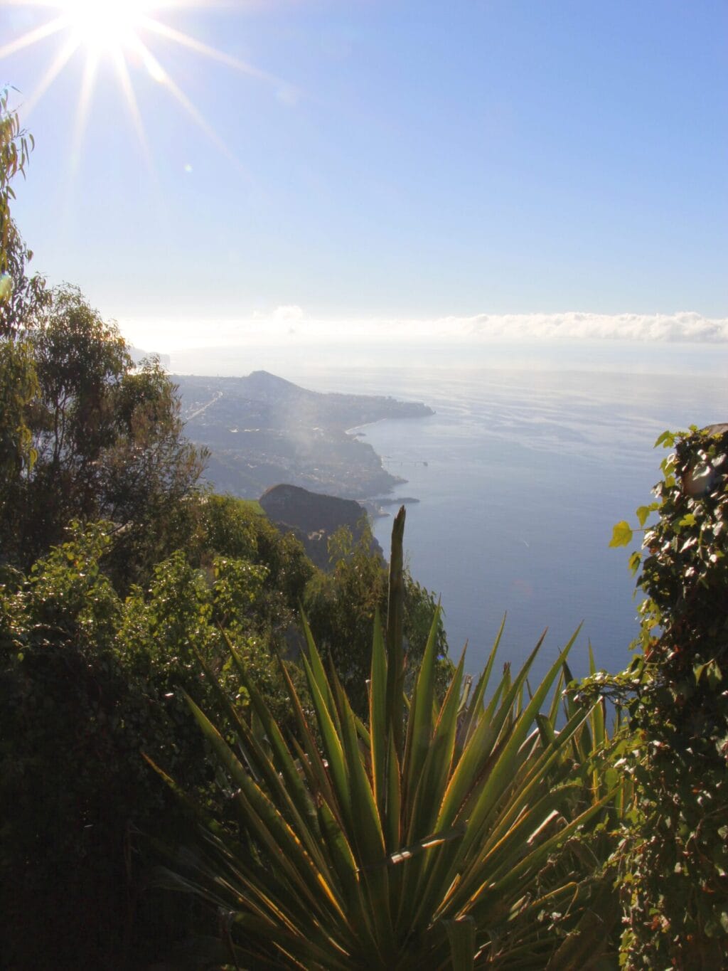 Blick über die üppig bewachsene Meeresküste bei Sonnenschein und blauem Himmel.